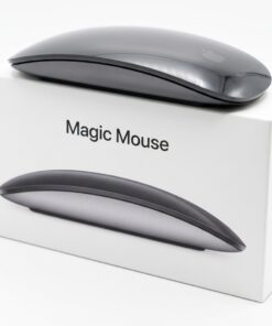 mouse